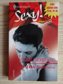 V ŽÁRU JEHO SNŮ, DEBBI RAWLINS, **an