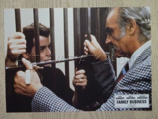 RODINNÝ PODNIK, FOTOSKA FILM USA 4258