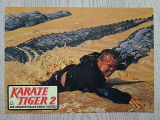 KARATE TIGER 2: ZUŘÍCÍ BLESK, FOTOSKA FILM USA 4296