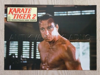 KARATE TIGER 2: ZUŘÍCÍ BLESK, FOTOSKA FILM USA 4304