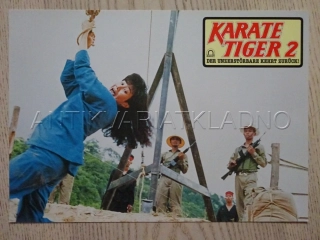 KARATE TIGER 2: ZUŘÍCÍ BLESK, FOTOSKA FILM USA 4306