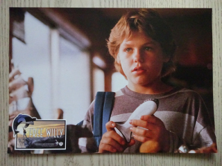 ZACHRAŇTE WILLYHO!, FOTOSKA FILM USA 5367