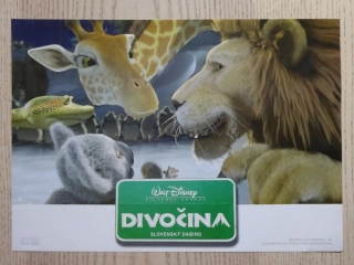 DIVOČINA, FOTOSKA FILM USA 4473