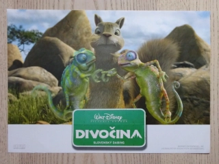 DIVOČINA, FOTOSKA FILM USA 4474