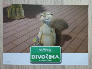 DIVOČINA, FOTOSKA FILM USA 4476