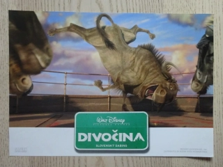 DIVOČINA, FOTOSKA FILM USA 4477
