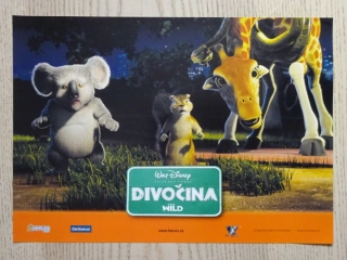 DIVOČINA, FOTOSKA FILM USA 4478