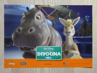 DIVOČINA, FOTOSKA FILM USA 4479