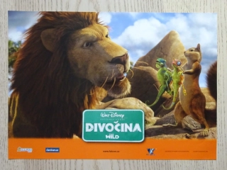 DIVOČINA, FOTOSKA FILM USA 4481