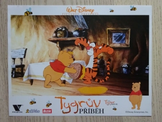 TYGRŮV PŘÍBĚH, FOTOSKA FILM USA 4500