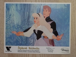 ŠÍPKOVÁ RŮŽENKA, FOTOSKA FILM USA 4504