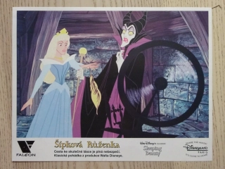 ŠÍPKOVÁ RŮŽENKA, FOTOSKA FILM USA 4505