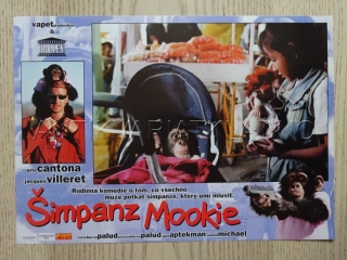 ŠIMPANZ MOOKIE, FOTOSKA FILM USA 4847