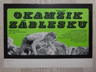 OKAMŽIK ZÁBLESKU, FILMOVÝ LETÁK