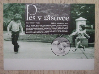 PES V ZÁSUVCE, FILMOVÝ LETÁK