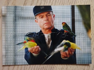 FOTOGRAFIE - S. NEIL