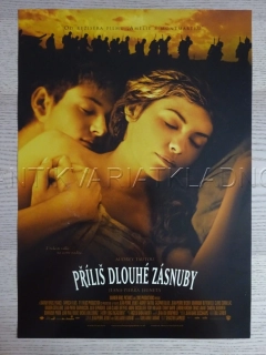 PŘÍLIŠ DLOUHÉ ZÁSNUBY, AUDREY TAUTOU, FILM FR, PLAKÁT 1091