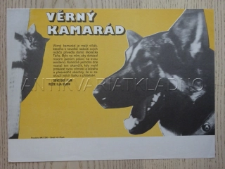 VĚRNÝ KAMARÁD, FILMOVÝ LETÁK