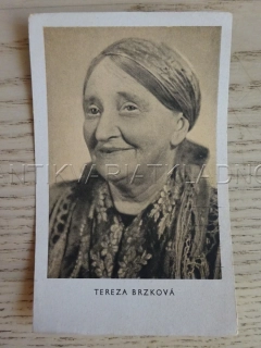 BRZKOVÁ TEREZA, FILMOVÁ KARTIČKA KINOREVUE