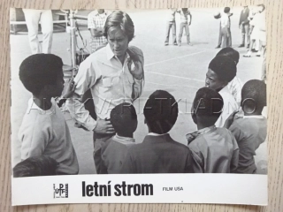 LETNÍ STROM, M. DOUGLAS, FOTOSKA FILM USA 6700