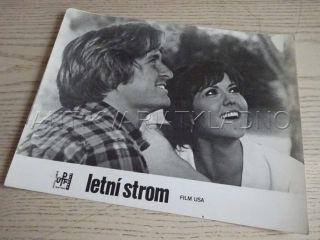 LETNÍ STROM, M. DOUGLAS, FOTOSKA FILM USA 6701