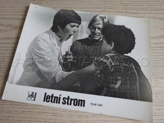 LETNÍ STROM, M. DOUGLAS, FOTOSKA FILM USA 6704
