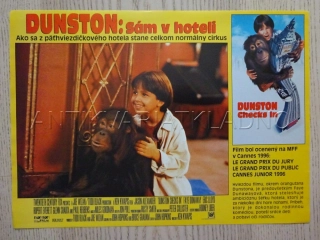 DUNSTON: SÁM V HOTELU, FOTOSKA FILM USA 7377