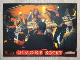 DIVOKÉ KOČKY, FOTOSKA FILM USA 7395