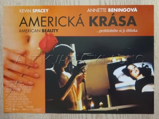 AMERICKÁ KRÁSA, FOTOSKA FILM USA 7972