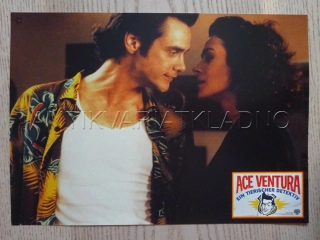 ACE VENTURA: ZVÍŘECÍ DETEKTIV, J. CARREY, S. YOUNG, FOTOSKA FILM USA 7473