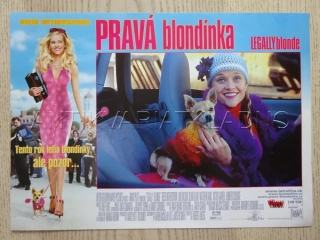 PRAVÁ BLONDÝNKA, R. WITHERSPOON, FOTOSKA FILM USA 8305