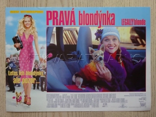 PRAVÁ BLONDÝNKA, R. WITHERSPOON, FOTOSKA FILM USA 8310