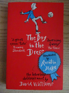 THE BOY IN THE DRESS, DAVID WALLIAMS, ANGLICKY, **an