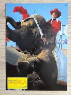 MADE IN AMERICA, T. DANSON, FOTOSKA FILM FR 8768