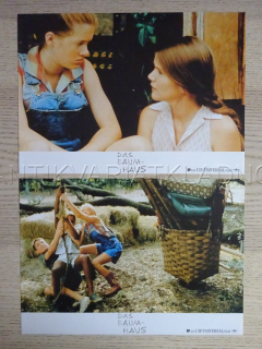 STROM SNŮ, 2 KUSY, FOTOSKA FILM USA 8963