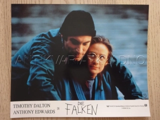 JESTŘÁBI, T. DALTON, FOTOSKA FILM USA 9807
