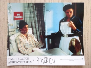 JESTŘÁBI, T. DALTON, FOTOSKA FILM USA 9811