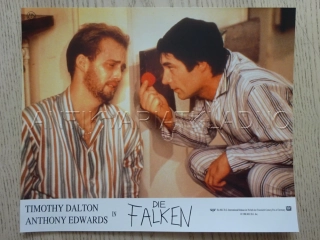 JESTŘÁBI, T. DALTON, FOTOSKA FILM USA 9812