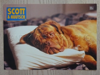 TURNER A HOOCH, FOTOSKA FILM USA 10809