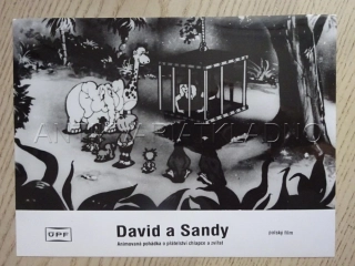 DAVID A SANDY, FOTOSKA FILM PL 11025