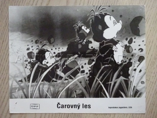 ČAROVNÝ LES, FOTOSKA FILM USA 11041