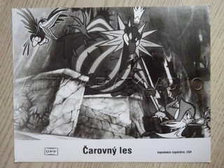 ČAROVNÝ LES, FOTOSKA FILM USA 11043