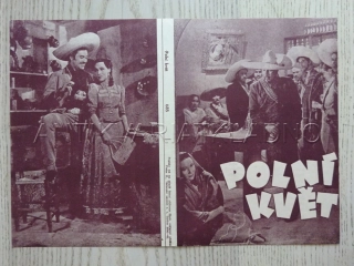POLNÍ KVĚT, D. DEL RIO, BIO PROGRAM Č. 685