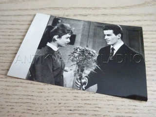 BUCHHOLZ HORST, FILMOVÁ KARTIČKA