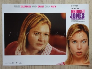 BRIDGET JONESOVÁ - S ROZUMEM V KONCÍCH, R. ZELLWEGER, FOTOSKA FILM USA 11340