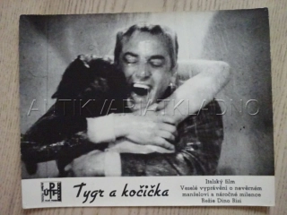 TYGR A KOČIČKA, R: D. RISI, FOTOSKA FILM IT 11645