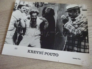 KREVNÍ POUTO, M. MASTROIANNI, FOTOSKA FILM IT 11663