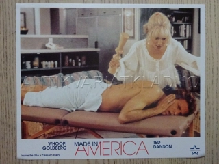 MADE IN AMERICA, FOTOSKA FILM USA 11784