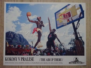 KOKOSY V PRALESE, FOTOSKA FILM USA 11847