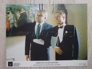 LEBKOUNI, J. CAAN, FOTOSKA FILM USA 11854